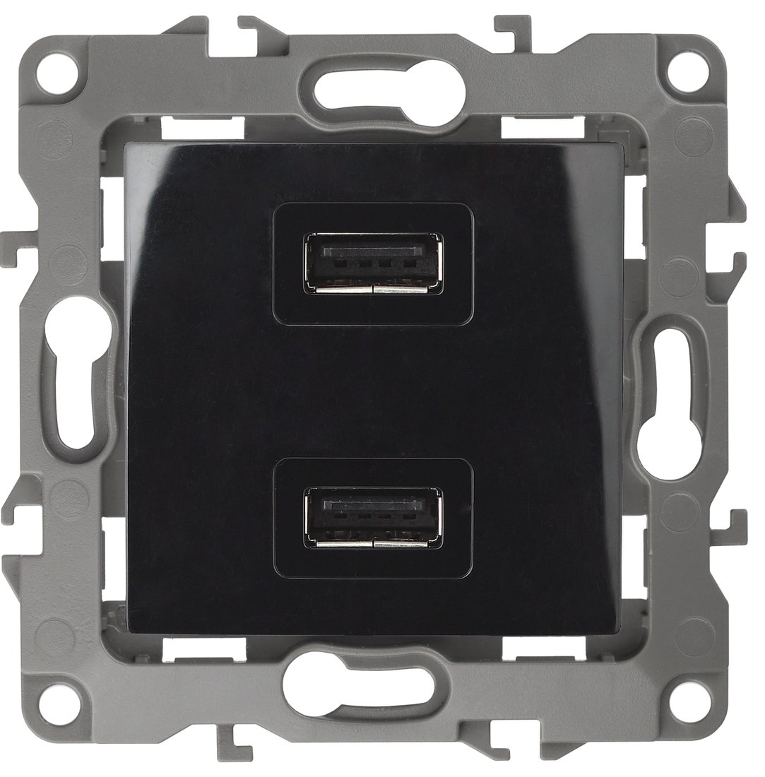 

Розетка USB ЭРА 12-4110-06