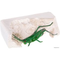 Набор для опытов Bondibon Науки с Буки Кузнечик ВВ2003