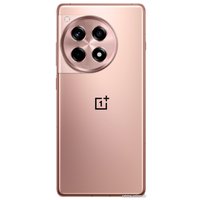 Смартфон OnePlus Ace 3 16GB/512GB китайская версия (бронзовый)