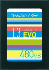 L3 Evo 480GB T253LE480GTC101