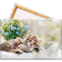 Solmax&Creators Котенок SM98458