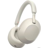 Наушники Sony WH-1000XM5 (серый)