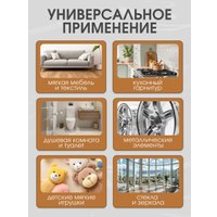 Пароочиститель RAF R.1287