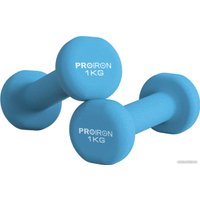 Набор гантелей Proiron Г2010СНЕО (2 шт)