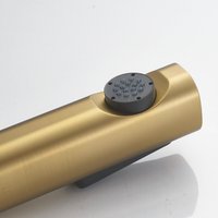 Гигиенический душ Shevanik S9905G-1