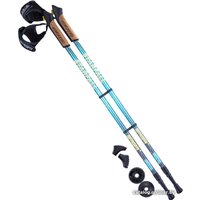 Палки для скандинавской ходьбы Berger Starfall 77-135 (синий/серый/желтый)