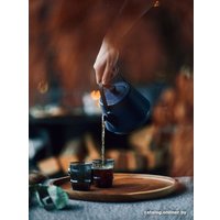 Заварочный чайник Beka Saga 16409374