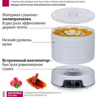 Сушилка для овощей и фруктов Мастерица EFD-5000