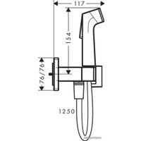 Гигиенический душ Hansgrohe Bidette 1jet E 29233670