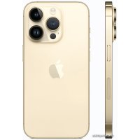 Телефон Apple iPhone 14 Pro 128GB Восстановленный by Breezy, грейд A+ (золотистый)