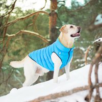 Куртка для животных AiryVest Jacket (XS22, лайм/голубой)