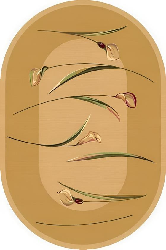 Ковер для жилой комнаты Moldabela Premiera Овал 478 2 602 (2.9x3.9)