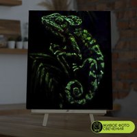 Картина по номерам Молли Хамелеон 40x50 FHR0578