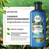 Подарочный набор Herbal Essences Марокканское аргановое масло для жещнин (шампунь 250 мл + бальзам-ополаскиватель 180 мл)