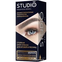 Краска Studio Professional стойкая 80 мл (графит)