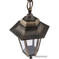 Уличный подвесной светильник ЭРА НСУ 06-60-001 Б0048109