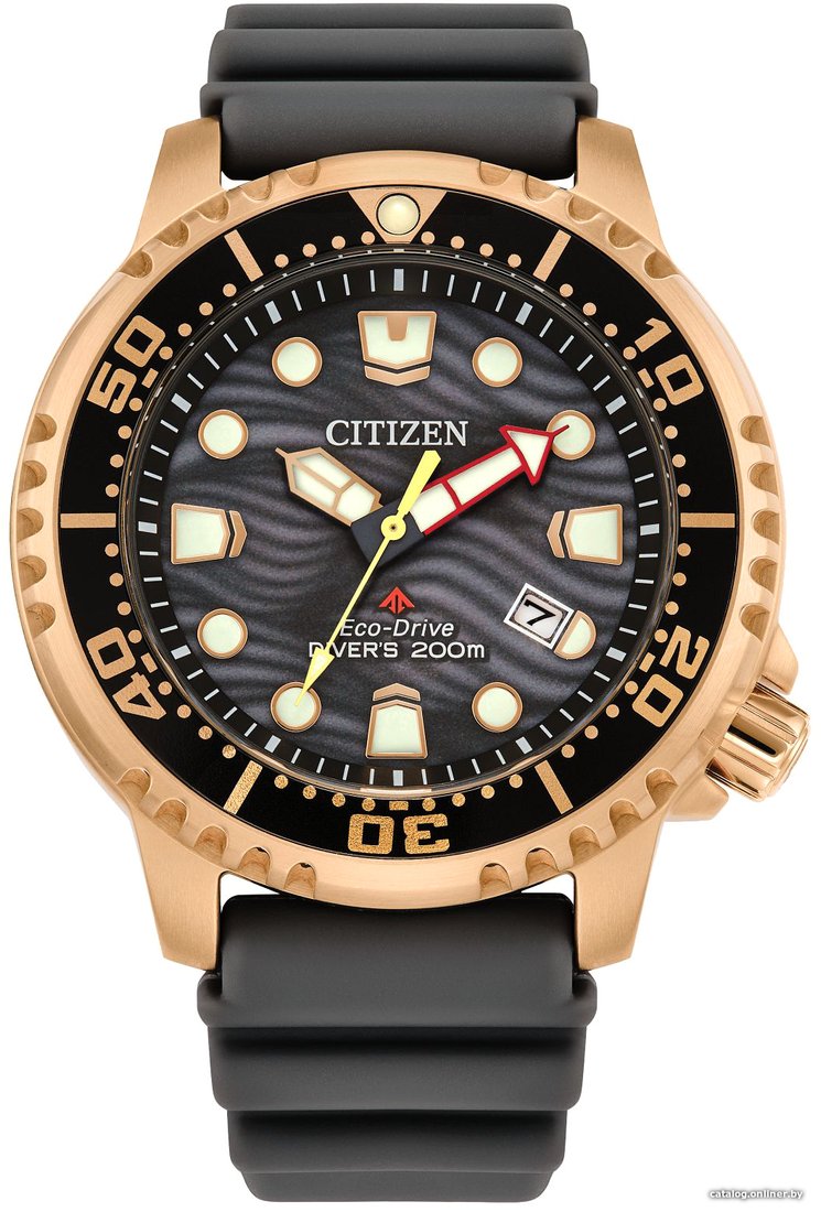 Наручные часы Citizen Promaster BN0163-00H