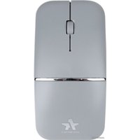 Мышь Гарнизон GMW-500-2