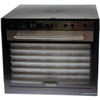Сушилка для овощей и фруктов Tribest Sedona Combo Rawfood SD-P9150 (пластиковые лотки)