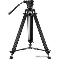 Трипод Raylab RL-VT2518