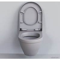 Сиденье для унитаза Ambassador Nord 132T20301 (серый матовый)