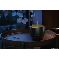 Увлажнитель воздуха Sharp DF-A1E-B