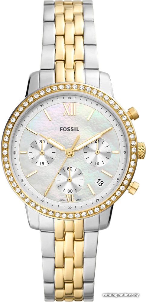Наручные часы Fossil Neutra ES5216