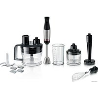 Погружной блендер Bosch ErgoMaster MSM6M673