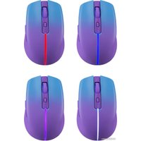 Мышь Defender Mystery MM-301