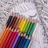 Набор цветных карандашей BRAUBERG 181663 (24 шт.)