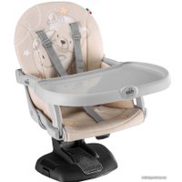 Бустер CAM Idea (260)