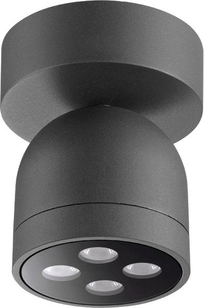 

Уличный накладной светильник Novotech Galeati 358118