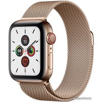 Умные часы Apple Watch Series 5 LTE 40 мм (сталь золотистый/миланский золотой)