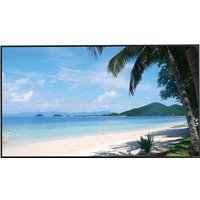 Информационная панель Dahua DHI-LM55-S400