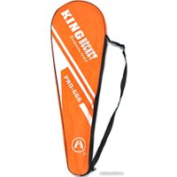 Теннис/бадминтон Zez Sport 666-1