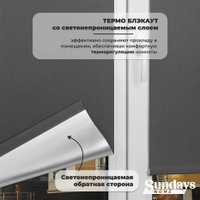Рулонные шторы Sundays Home LM 167-07 78х215 (темно-серый)