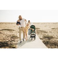 Коляска прогулочная «книга» Anex Air-x 2022 (green)