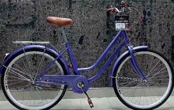 Велосипед Daurada D2-D114 р.15 (фиолетовый)