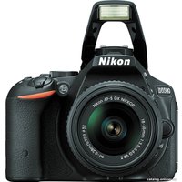 Зеркальный фотоаппарат Nikon D5500 Double Kit 18-55mm VR II + 55-200mm VR II