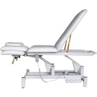 Массажный стол Richter MS 610 (белый)