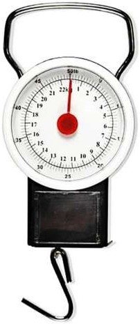 Кухонные весы Runis 6-139