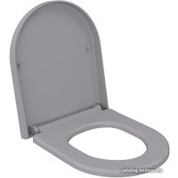 Сиденье для унитаза Ambassador Nord 132T20301 (серый матовый)