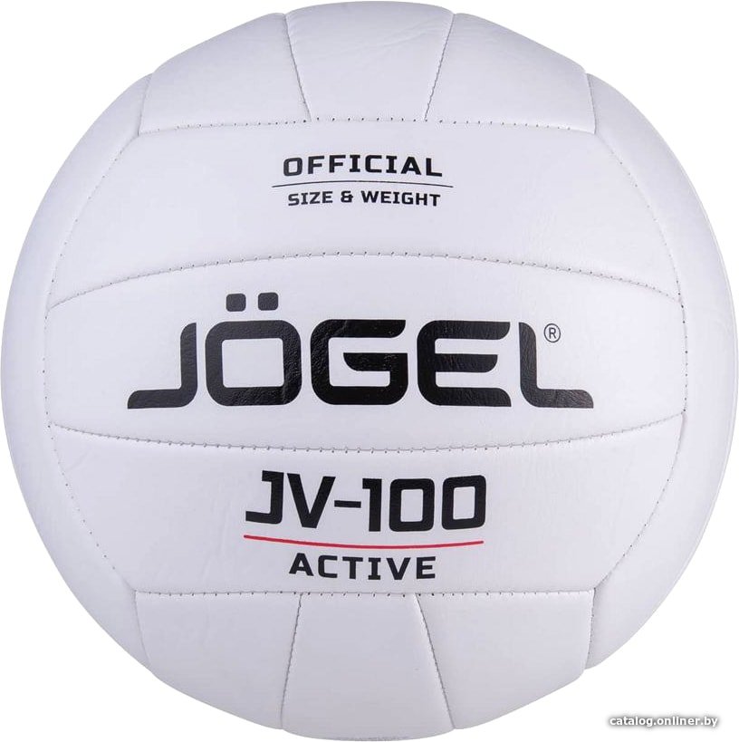 Волейбольный мяч Jogel JV-100 (5 размер, белый)