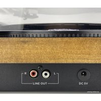 Виниловый проигрыватель Aiwa GBTUR-120WDMKII в Гродно