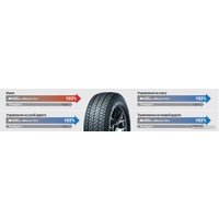 Всесезонные шины Nexen N'Blue 4Season Van 225/70R15C 112/110R