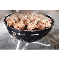 Гриль Start Grill Globus SG14KV