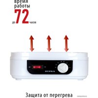 Сушилка для овощей и фруктов Supra DFS-215