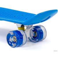 Пенниборд Полесье 89359 66 см (синий)