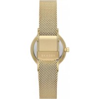 Наручные часы Skagen SKW3110