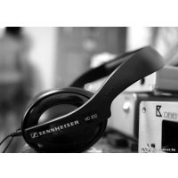 Наушники Sennheiser HD 202 II